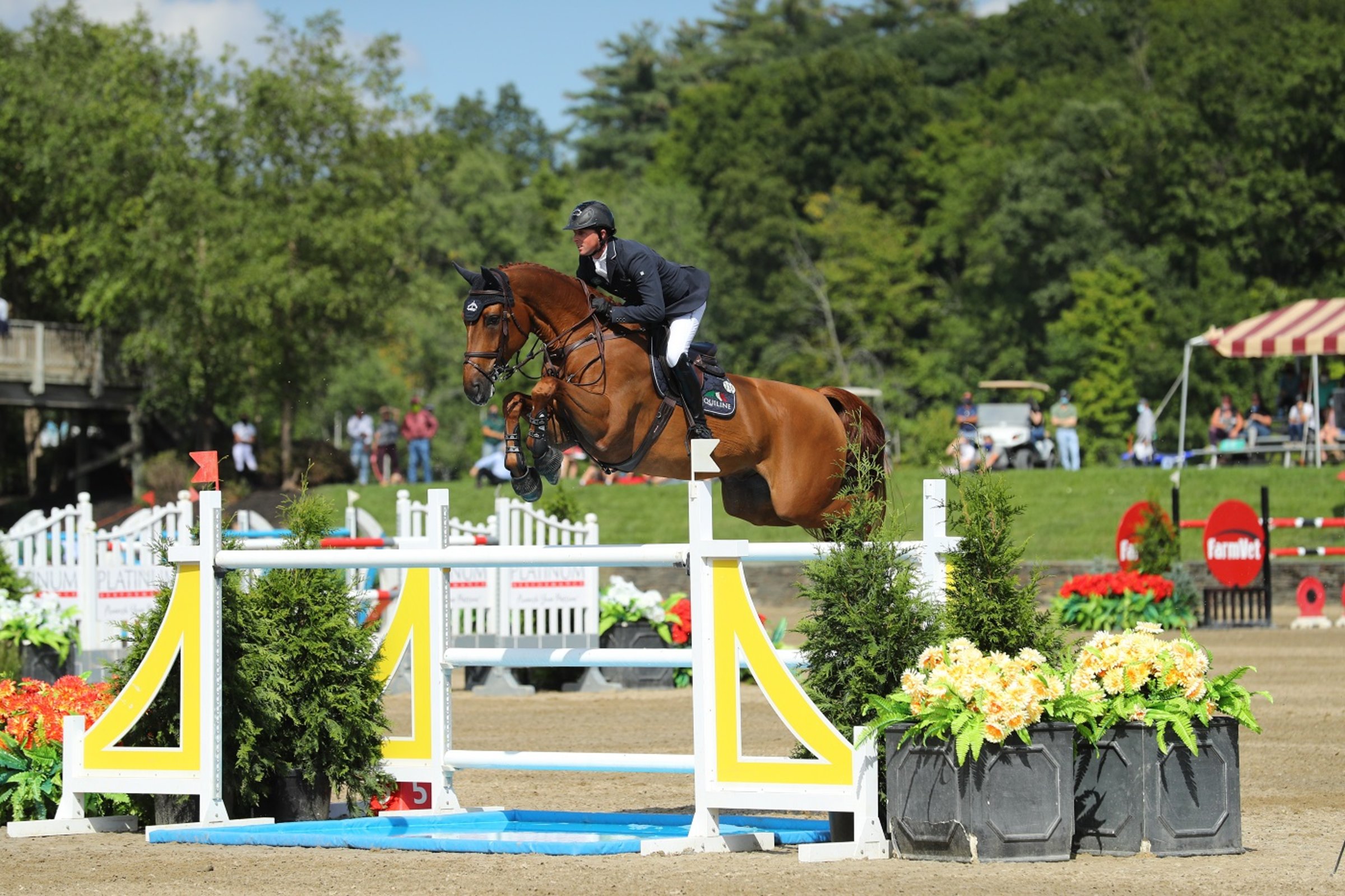 A wide of the Grand Prix ring at HITS on the Hudson, chestnut jumper mid-flight over a yellow oxer, perimeter fencing and spectators visible