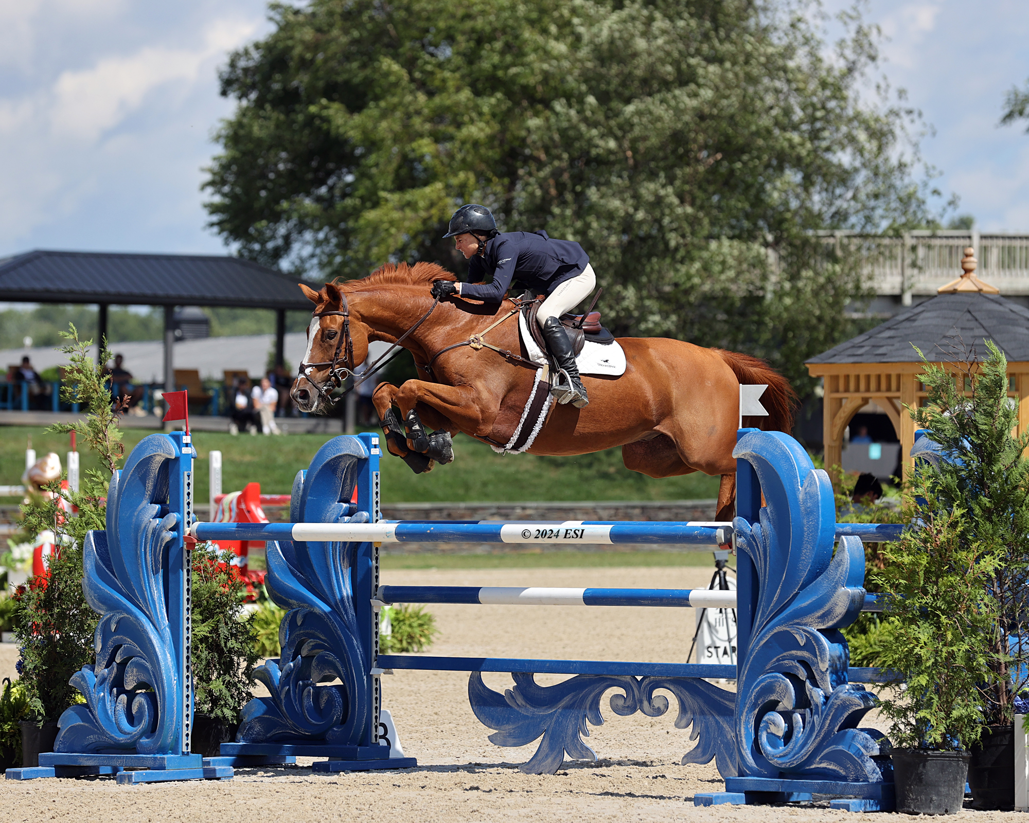 Laura Chapot and California mid-flight over an ornate blue Baroque-scroll oxer at HITS on the Hudson, 2024 Horseflight Jumper Classic