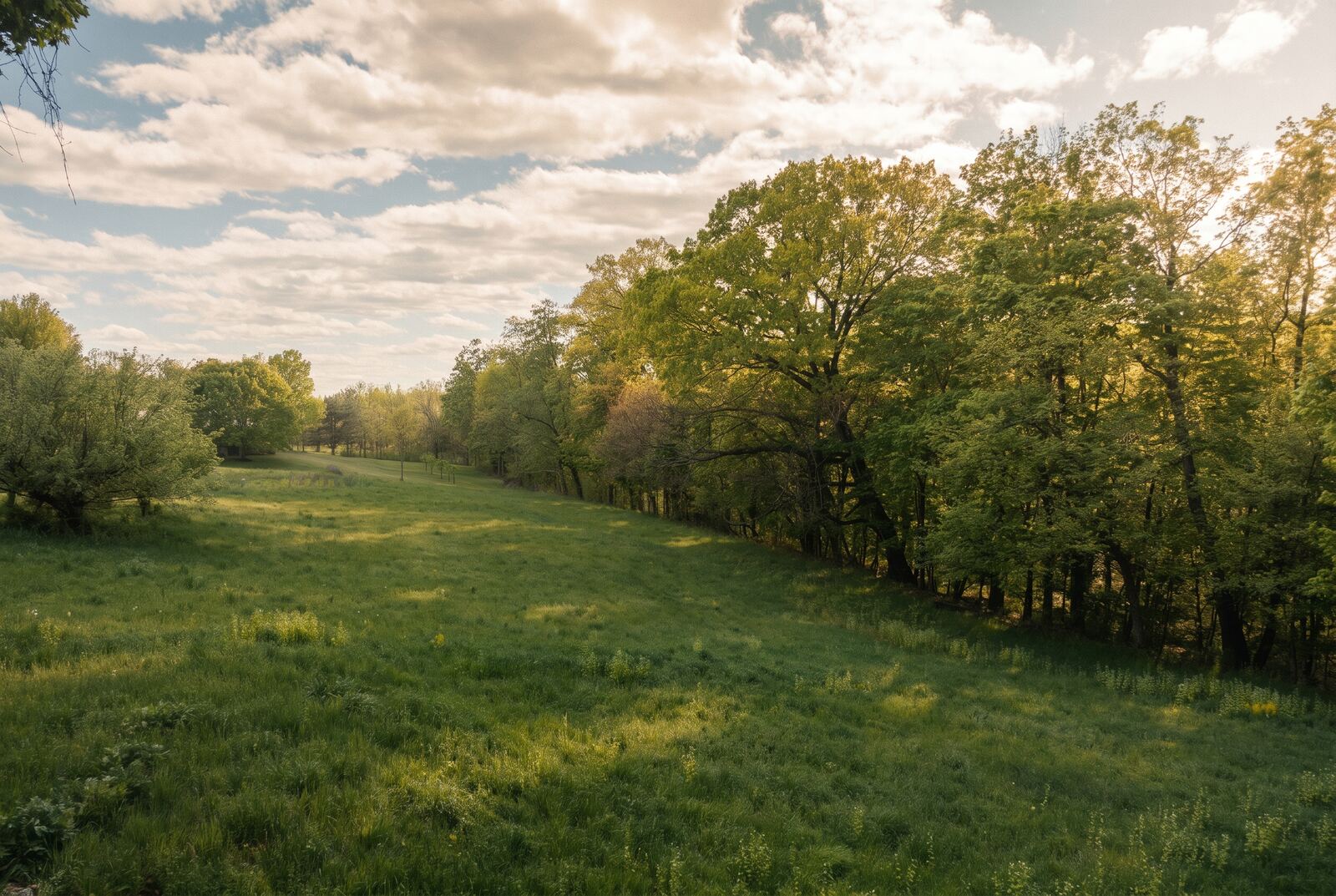 262-270 Patterson Lane, Saugerties — editorial frame