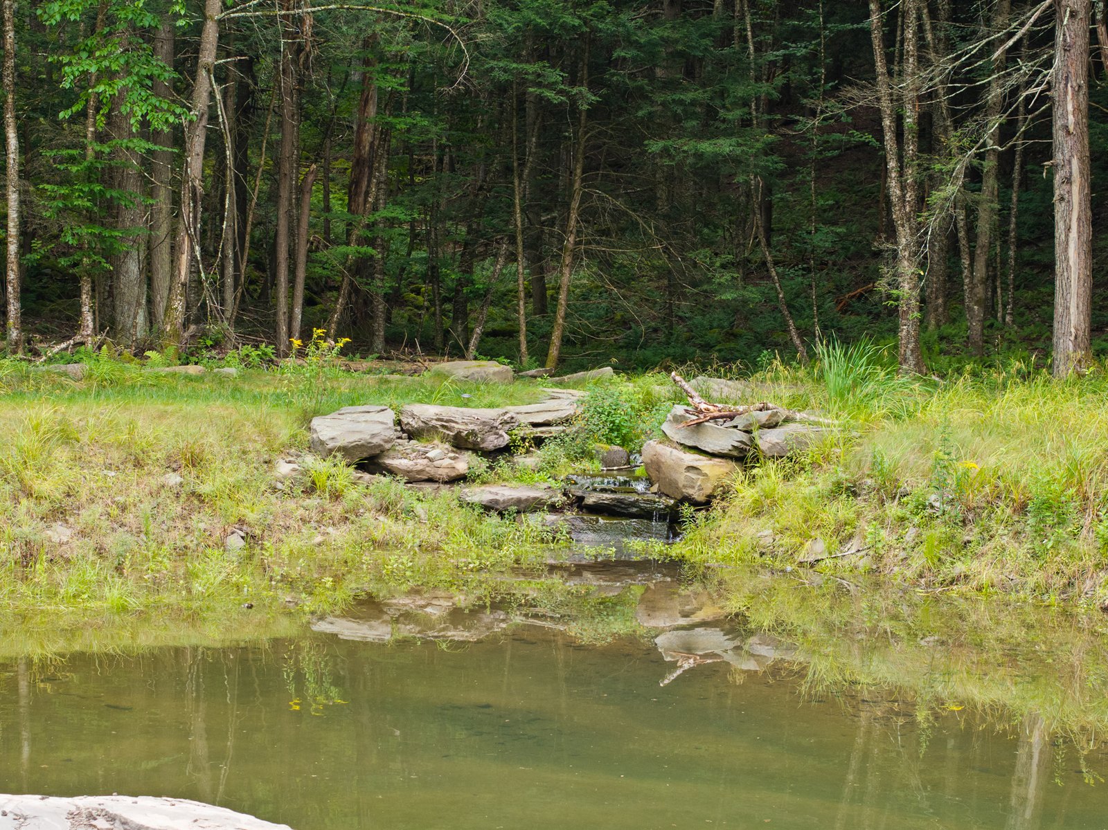 A pond edged with rock outcropping and native planting.