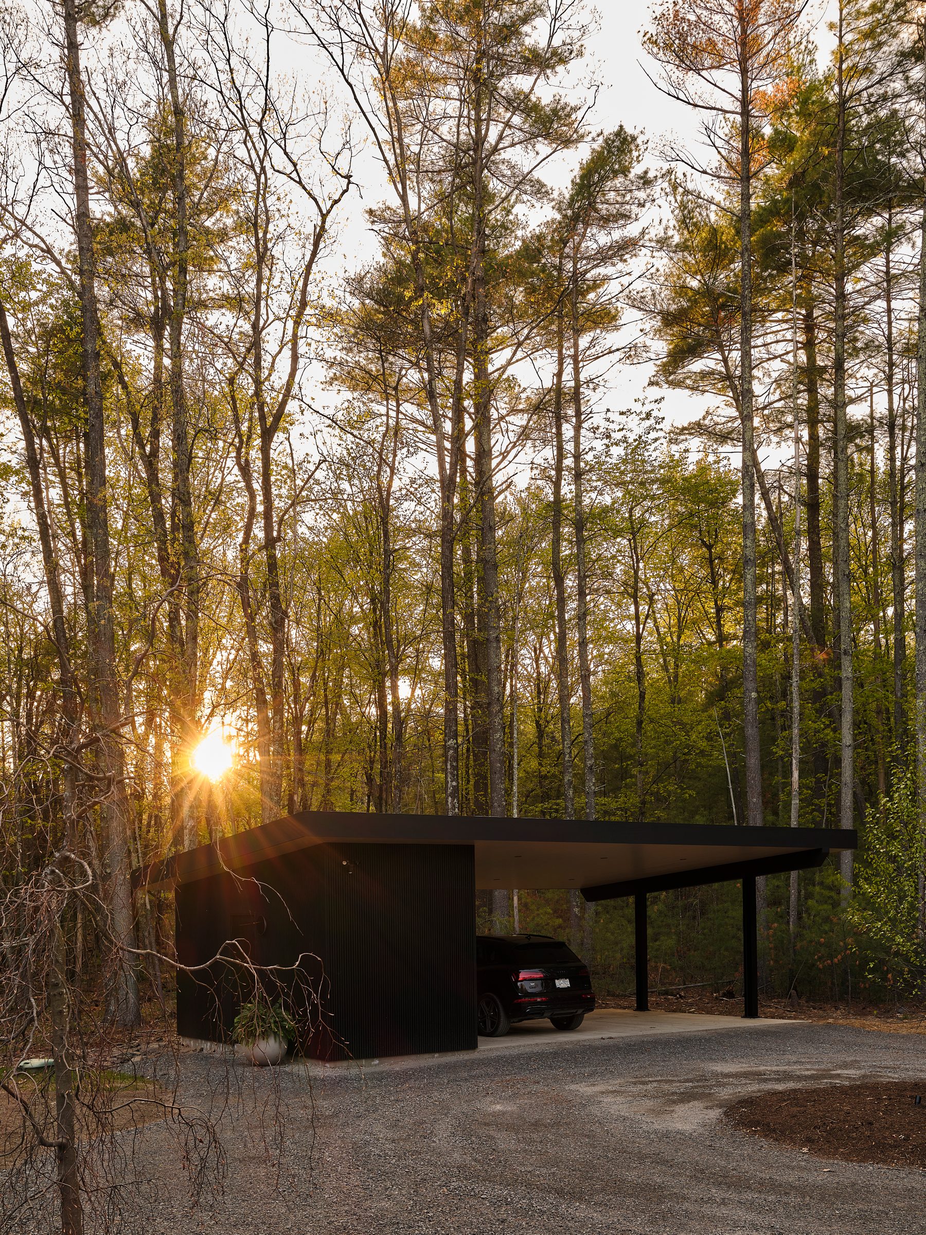 The carport among the trees at sunset.