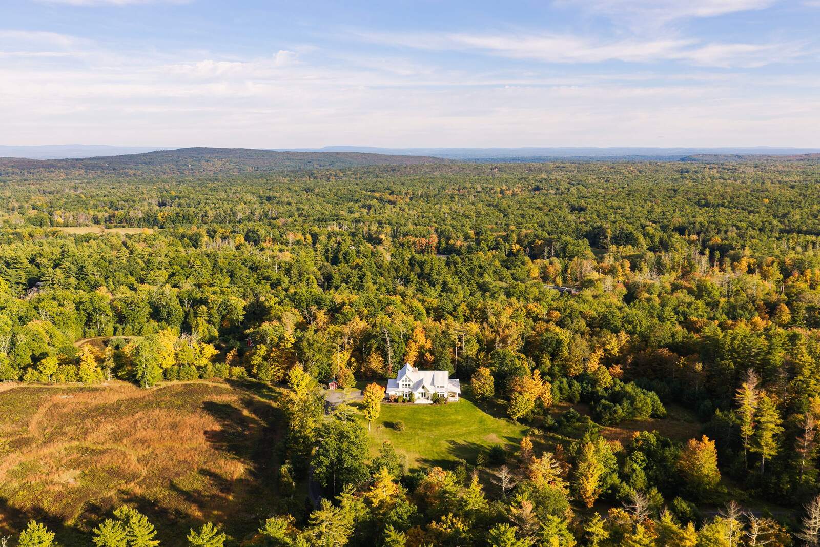 The house in its clearing, forest running to the horizon.
