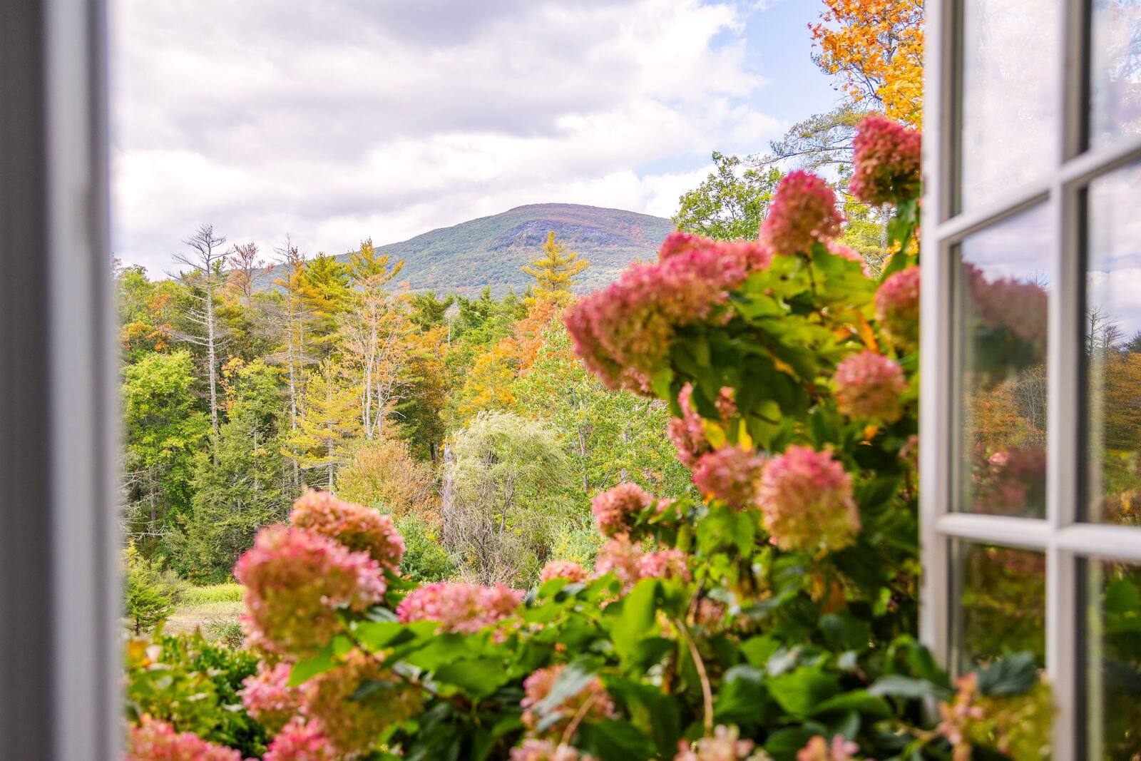 The mountain through an open window and hydrangeas.