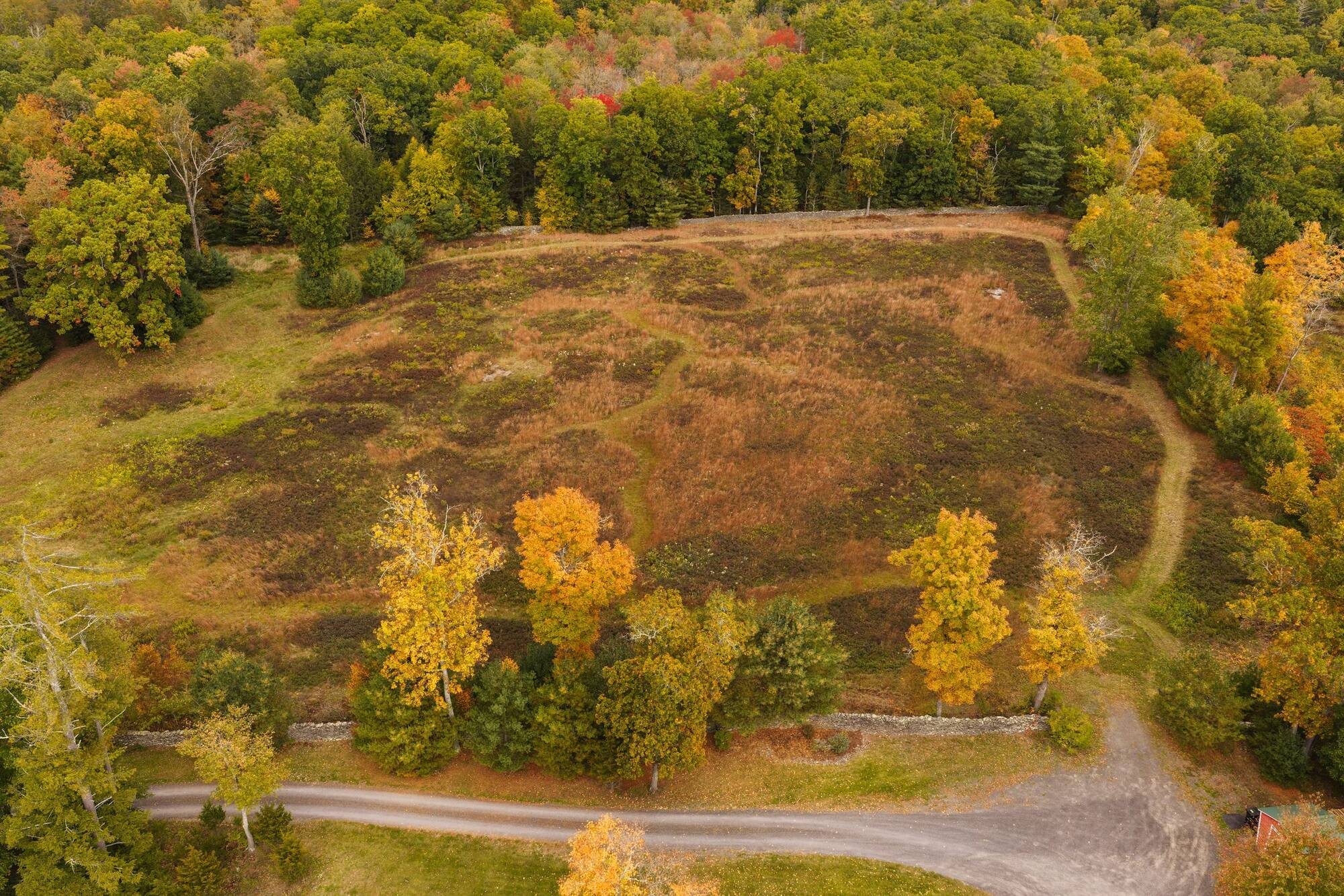 The meadow from above, held in by old stone walls, with the drive running past.