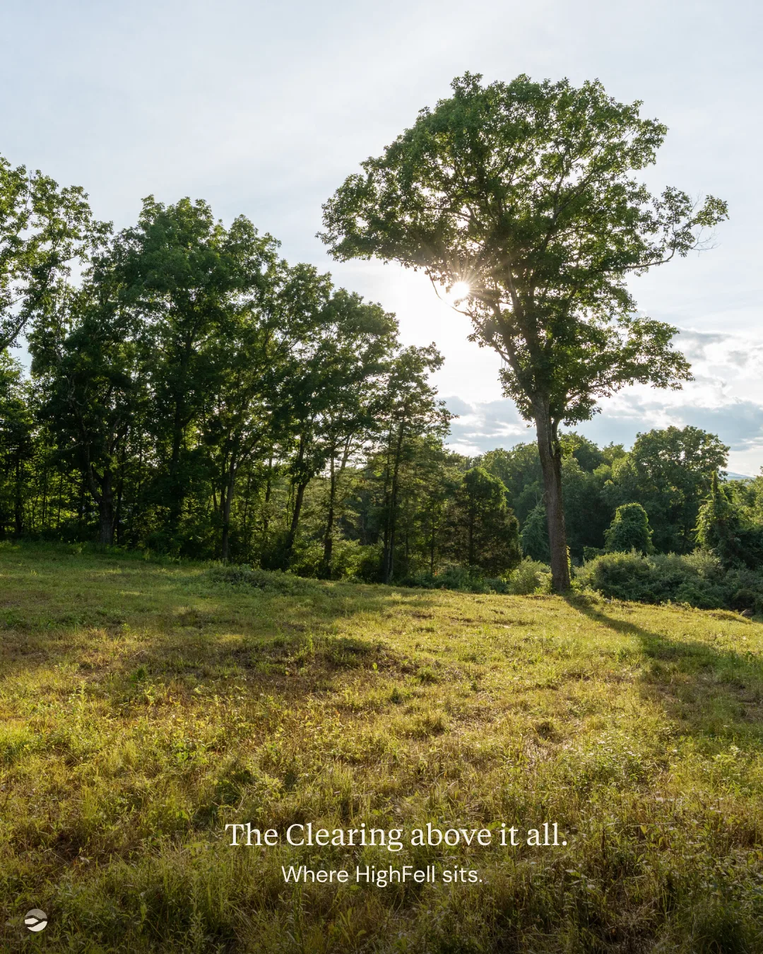 The Clearing above it all