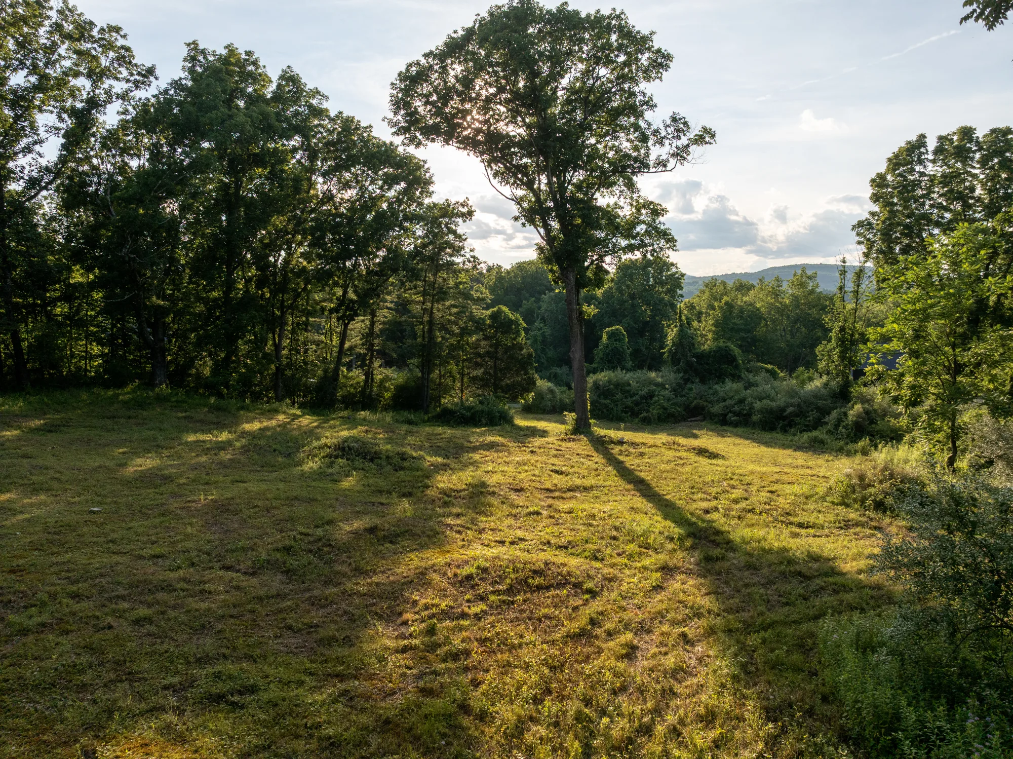 The meadow at RidgeVale, late light