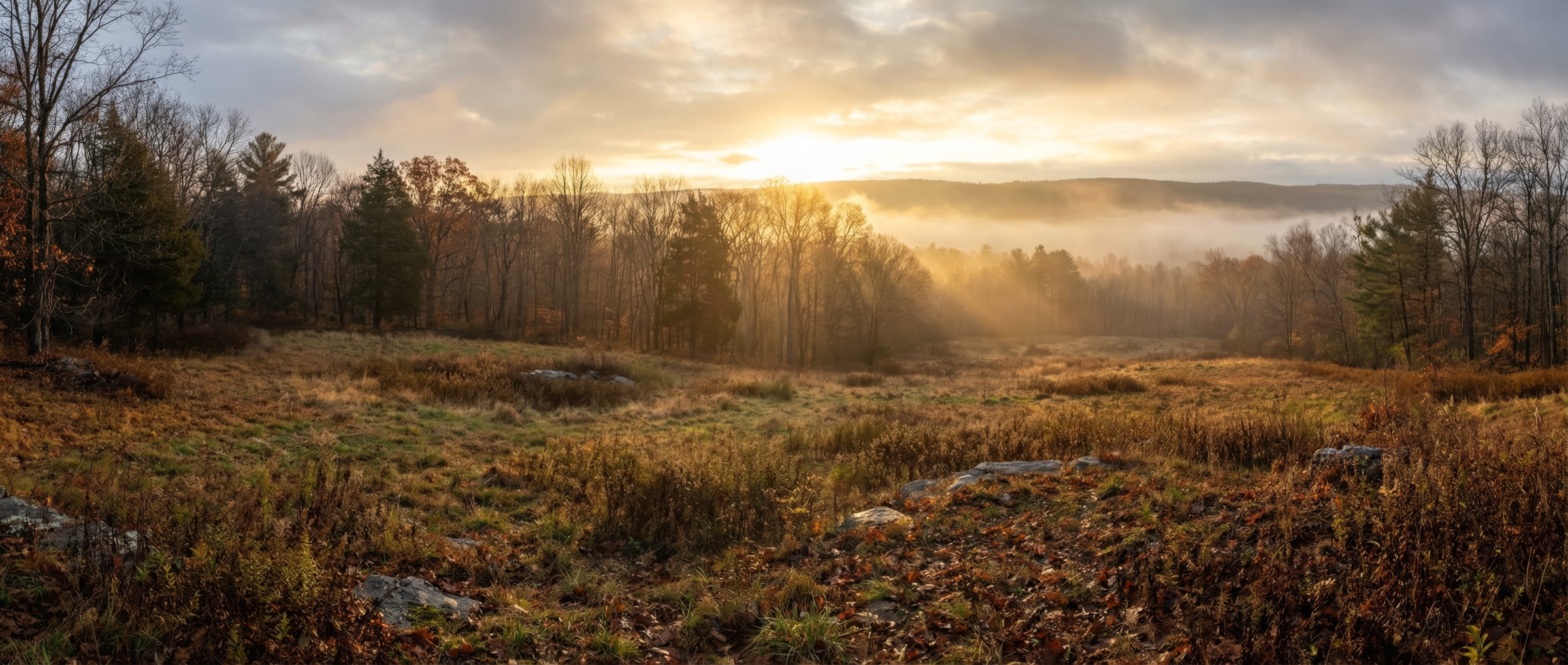 The ridgeline at RidgeVale — Stone Ridge, Hudson Valley