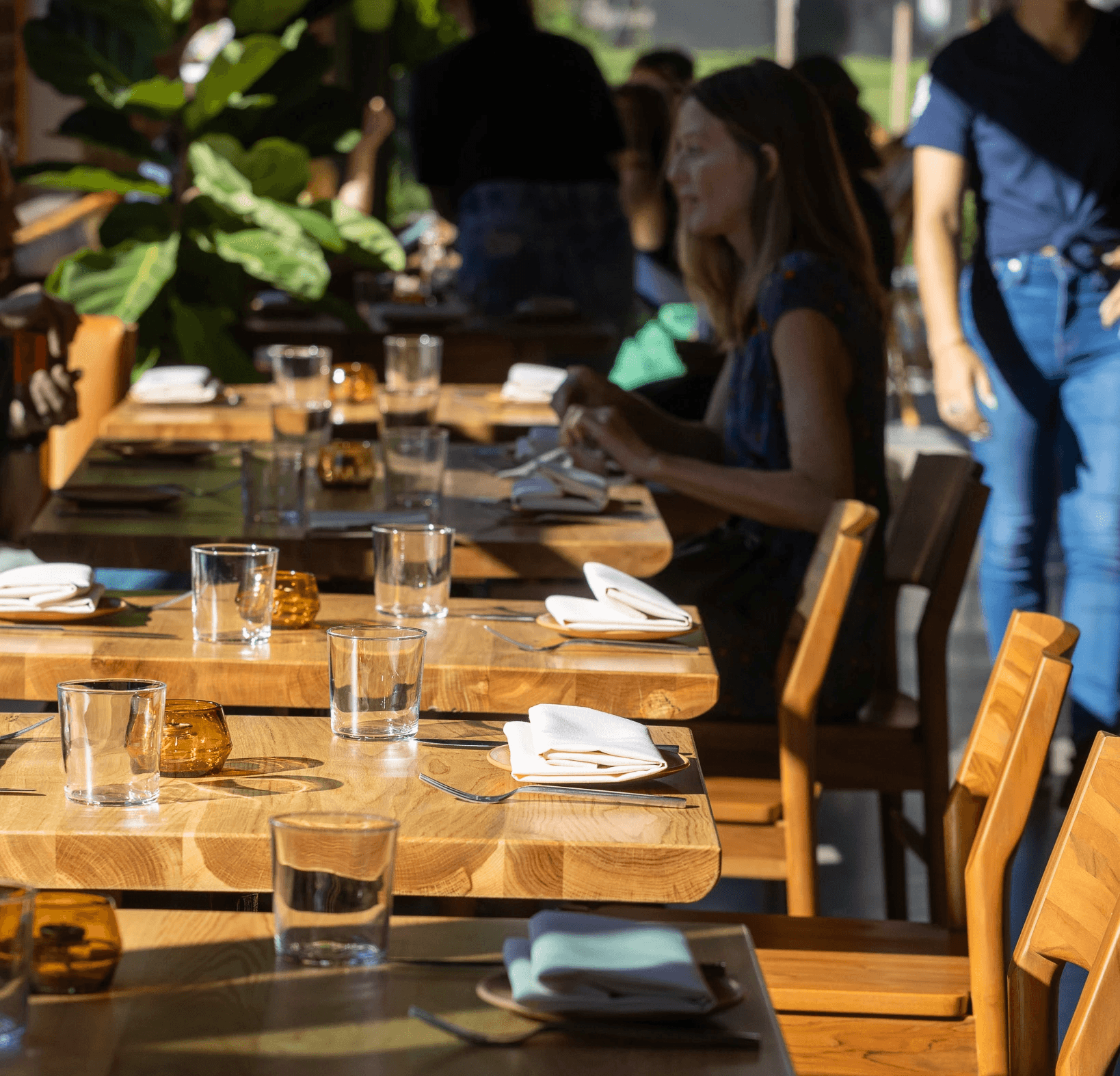 A plant-forward dish at The Wild Kitchen & Bar — vegetables sourced from the team's own Titusville Farm, plated for the dinner service