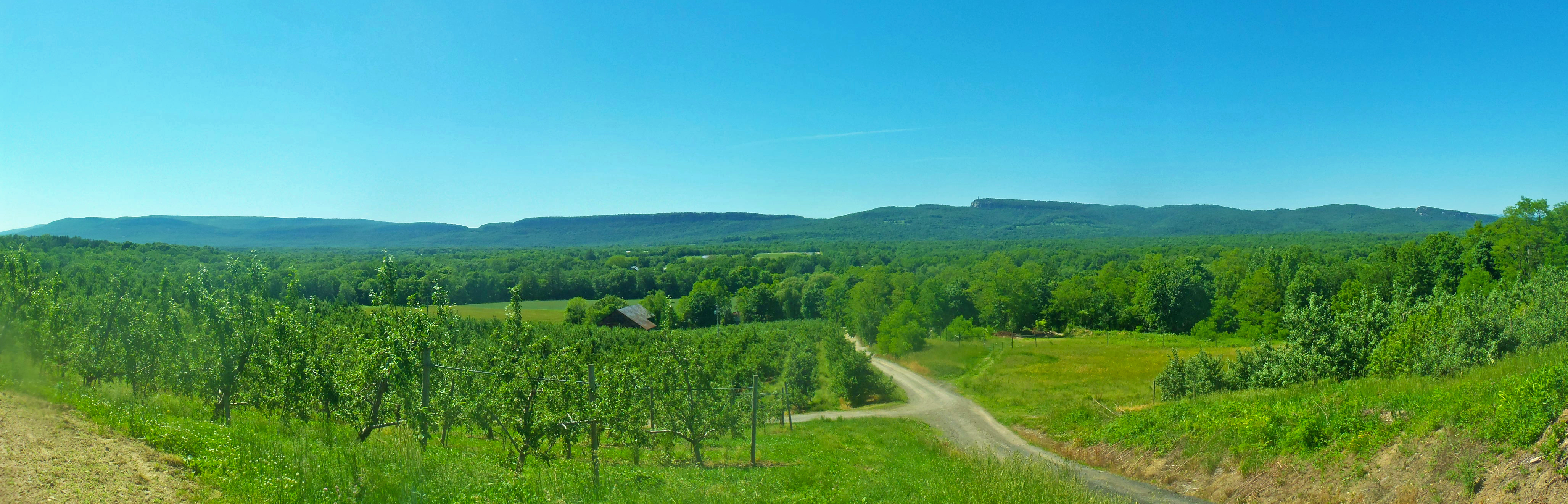 The Shawangunk Ridge above New Paltz — the foothills where Tweefontein Herb Farm sits at the end of Jenkins Lane, bordering the Mohonk Preserve